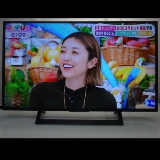 SONY 4K 液晶テレビ BRAVIA X7000D KJ-49X7000D