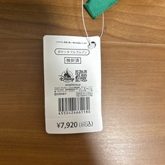 【値下】ポケッタブルブルゾン　ディズニーピーターパン【未使用】の画像