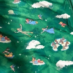 【値下】ポケッタブルブルゾン　ディズニーピーターパン【未使用】の画像