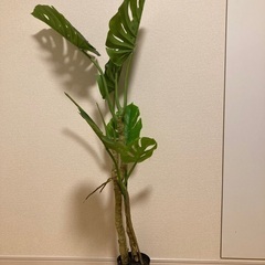 人工樹木 130センチ インテリアの画像