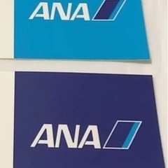 1/11  ANA片道チケット　