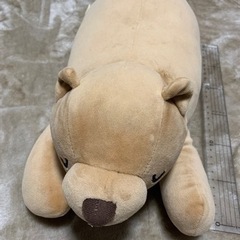 くまさんのぬいぐるみ