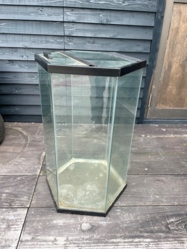 希少　六角　水槽