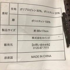 1回使用★ビニール製ござ(CAINZ)の画像