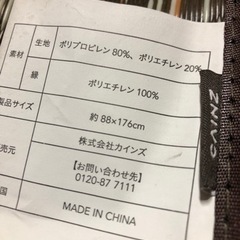 1回使用★ビニール製ござ(CAINZ)の画像