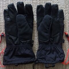 THE NORTH FACE ノースフェイス アルタスノーグローブ　手袋　Ｍサイズの画像