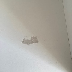 受け渡し決まりつつあります。ニトリ　カラーボックス　白　の画像