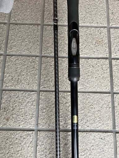 竿　ロッド　シーバス　ディアルーナ　S110M