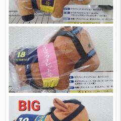 サラブレッドコレクション