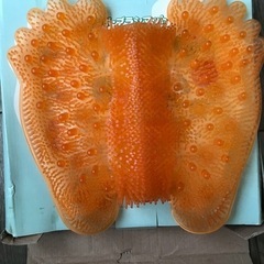 未使用フットケアグッズの画像