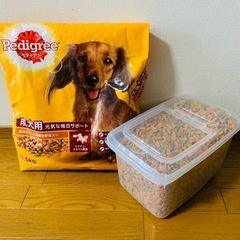 ペディグリーチャム 成犬用 5.5kg