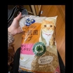 猫砂あんど上からトイレプチオレンジ