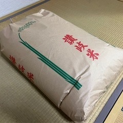 令和4年産　自然栽培コシヒカリ　玄米　30kg