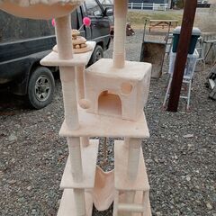キャットタワー　（決定しました）
