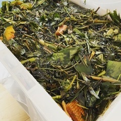 野草酵素ジュースを作った時に出た野草をあげますの画像