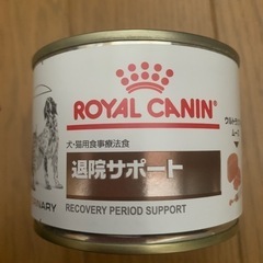 手術後のワンちゃんに、栄養を。