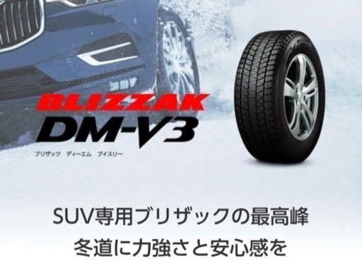 【新品未使用】ブリヂストン DM-V3 SUV用 225/65R17 21年製 4本