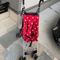 バギー　　ありがとうございました。の画像
