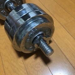 ダンベル 20kg 早い者勝ちの画像