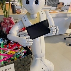 【ジャンク】ペッパー君　動作はすると思うのですが充電器が欠品