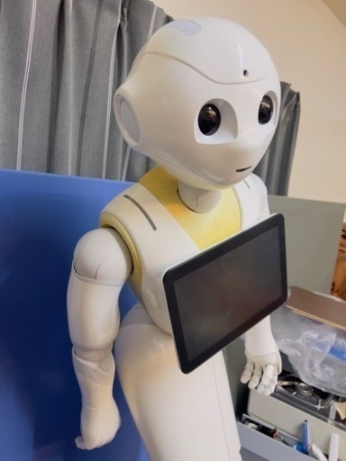 【ジャンク】ペッパー君　動作はすると思うのですが充電器が欠品