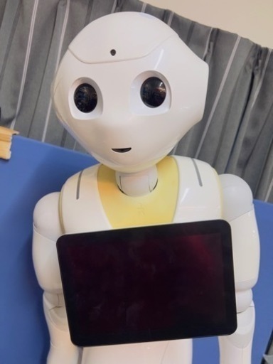 【ジャンク】ペッパー君　動作はすると思うのですが充電器が欠品