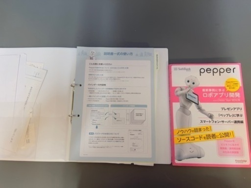 【ジャンク】ペッパー君　動作はすると思うのですが充電器が欠品