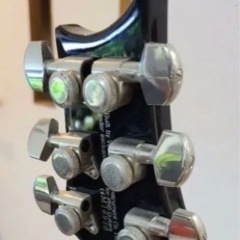 PRS SE custom24 ジャンク扱いの画像