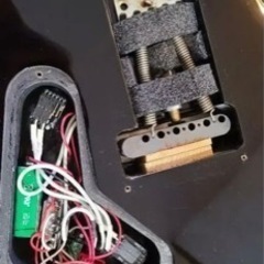 PRS SE custom24 ジャンク扱いの画像