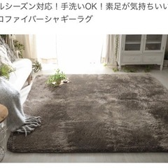 【新品未開封】洗える　床暖房対応　190×190 シャギーラグ　