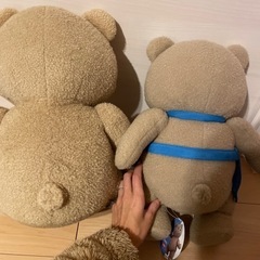 ted 2体の画像