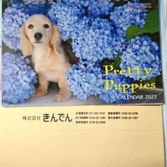 【決まりました！】2023年 子犬 卓上カレンダー