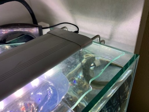年末まで価格！水槽90センチスリム、LEDライト付き