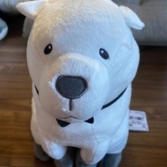 スパイファミリー　ボンドぬいぐるみ