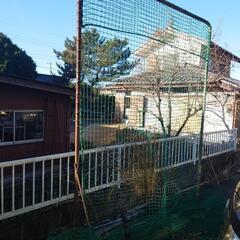 野球ネット