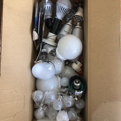 LED 白熱灯　蛍光灯　