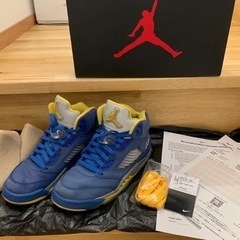 NIKE エアジョーダン 5 レイニー　