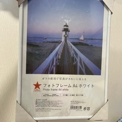 いらない