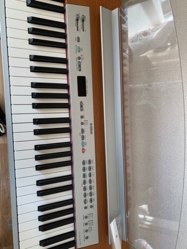 YAMAHA P-120