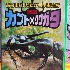 DVD色々　の画像