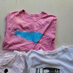 男女Tシャツ　5枚の画像