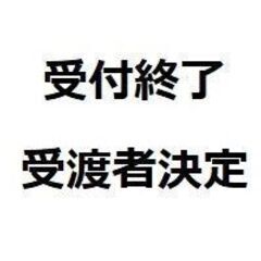 【受渡者決定】ピンチハンガー
