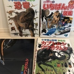小学館　NEO 図鑑セット