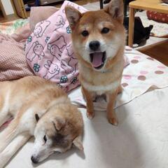 本日5月9日 カラオケ🎤しませんか？！ - 仙台市