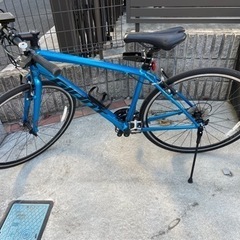 GIANT ESCAPE RX3