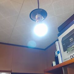 アイリスオーヤマLED電球 100形相当　昼白色ともう一つLED電球をつけますの画像