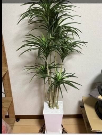 値下げ⭐︎観葉植物・フェイクグリーン, 造花、受け皿付き、光触媒