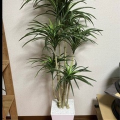 値下げ⭐︎観葉植物・フェイクグリーン, 造花、受け皿付き、光触媒
