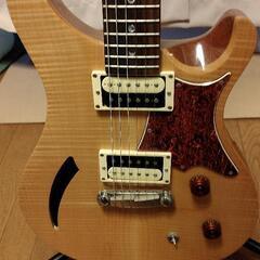 ポールリードスミス PRS SE セミホロウタイプ