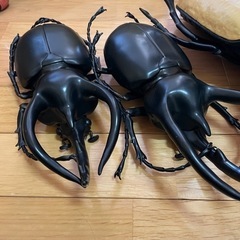 クワガタフィギュアの画像
